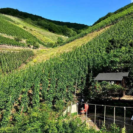 Merl Zell an der Mosel