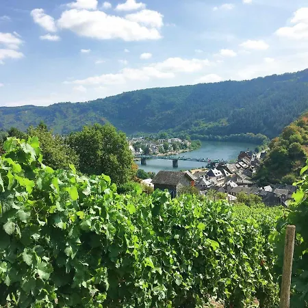 Merl Zell an der Mosel