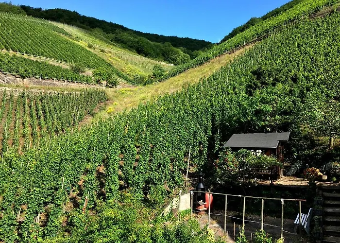 Merl Zell an der Mosel