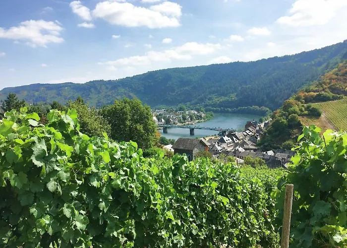 Merl Zell an der Mosel
